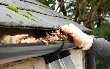 gutter cleaning Bleasby
