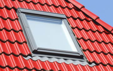 roof windows Bleasby
